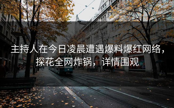 主持人在今日凌晨遭遇爆料爆红网络，探花全网炸锅，详情围观
