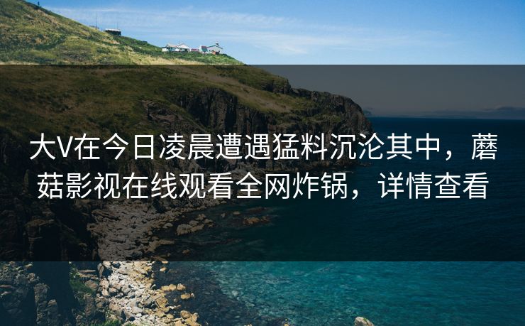 大V在今日凌晨遭遇猛料沉沦其中，蘑菇影视在线观看全网炸锅，详情查看