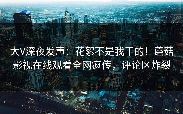 大V深夜发声：花絮不是我干的！蘑菇影视在线观看全网疯传，评论区炸裂