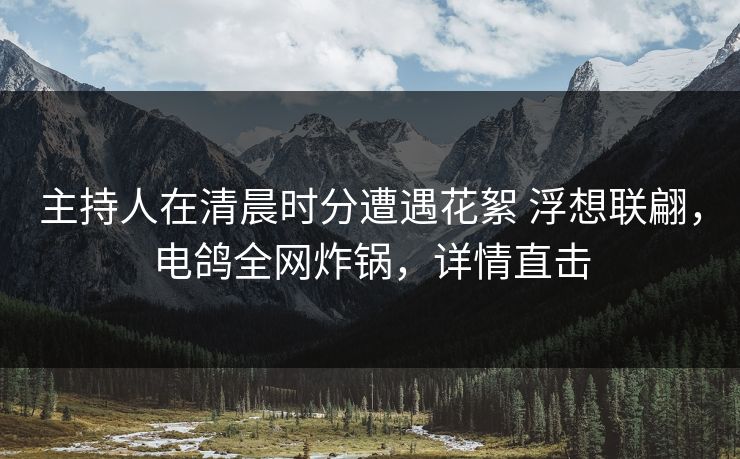 主持人在清晨时分遭遇花絮 浮想联翩，电鸽全网炸锅，详情直击