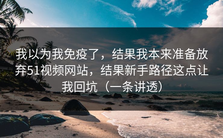我以为我免疫了，结果我本来准备放弃51视频网站，结果新手路径这点让我回坑（一条讲透）